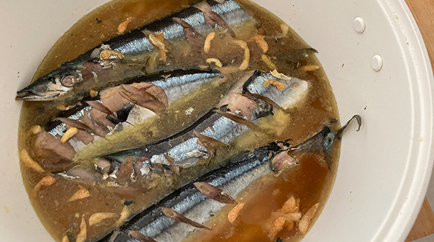 秋刀魚とにんにくの炊き込みご飯